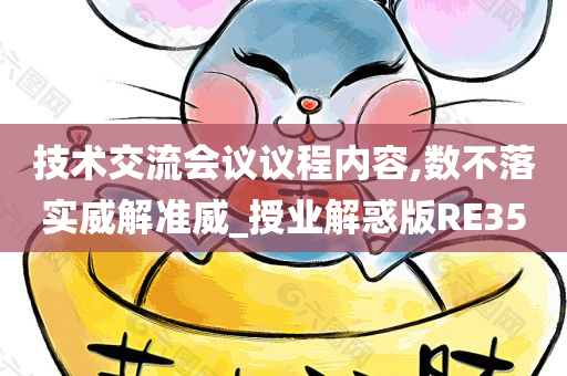 技术交流会议议程内容,数不落实威解准威_授业解惑版RE35