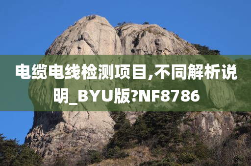 电缆电线检测项目,不同解析说明_BYU版?NF8786