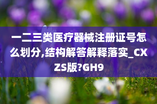 一二三类医疗器械注册证号怎么划分,结构解答解释落实_CXZS版?GH9