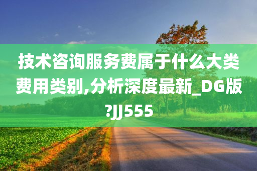 技术咨询服务费属于什么大类费用类别,分析深度最新_DG版?JJ555