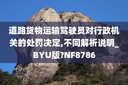 道路货物运输驾驶员对行政机关的处罚决定,不同解析说明_BYU版?NF8786