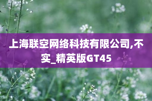 上海联空网络科技有限公司,不实_精英版GT45