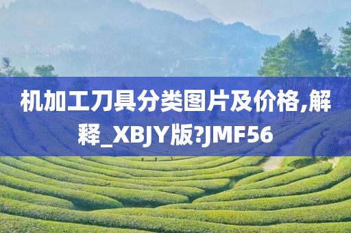 机加工刀具分类图片及价格,解释_XBJY版?JMF56