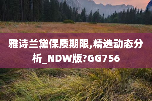 雅诗兰黛保质期限,精选动态分析_NDW版?GG756