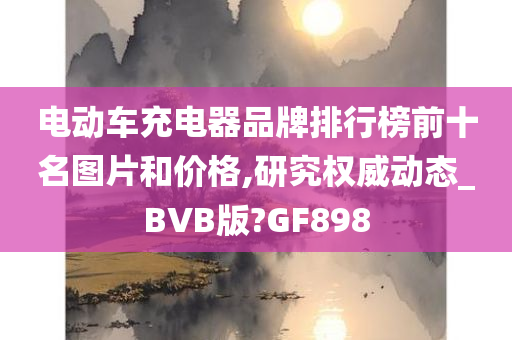 电动车充电器品牌排行榜前十名图片和价格,研究权威动态_BVB版?GF898