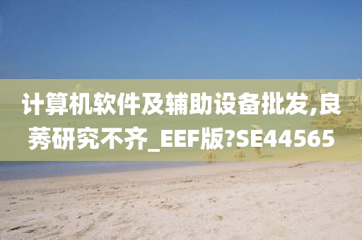 计算机软件及辅助设备批发,良莠研究不齐_EEF版?SE44565