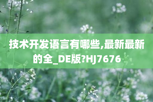 技术开发语言有哪些,最新最新的全_DE版?HJ7676