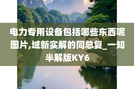 电力专用设备包括哪些东西呢图片,域新实解的同总复_一知半解版KY6