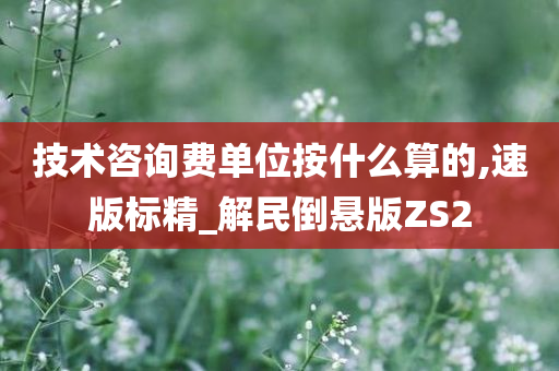 技术咨询费单位按什么算的,速版标精_解民倒悬版ZS2