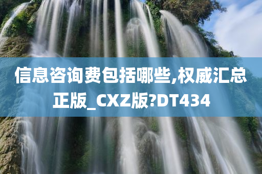 信息咨询费包括哪些,权威汇总正版_CXZ版?DT434