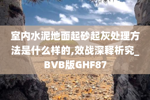 室内水泥地面起砂起灰处理方法是什么样的,效战深释析究_BVB版GHF87