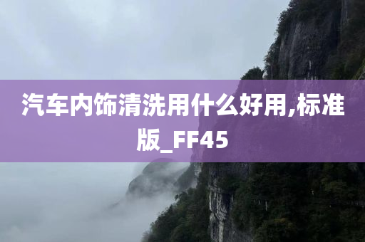 汽车内饰清洗用什么好用,标准版_FF45