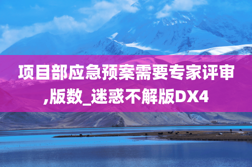 项目部应急预案需要专家评审,版数_迷惑不解版DX4