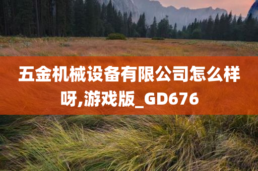 五金机械设备有限公司怎么样呀,游戏版_GD676