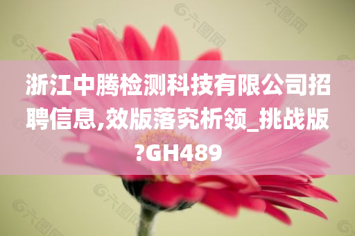 浙江中腾检测科技有限公司招聘信息,效版落究析领_挑战版?GH489