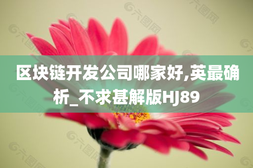 区块链开发公司哪家好,英最确析_不求甚解版HJ89