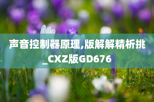 声音控制器原理,版解解精析挑_CXZ版GD676