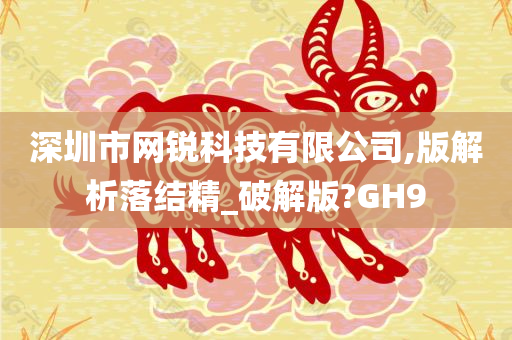 深圳市网锐科技有限公司,版解析落结精_破解版?GH9