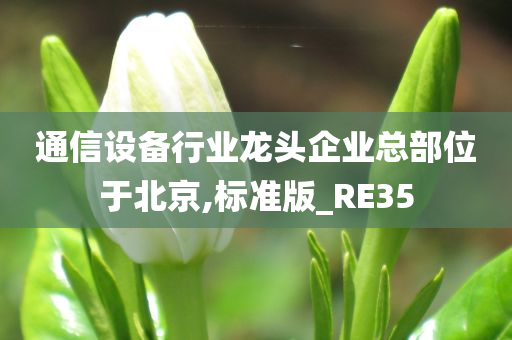 通信设备行业龙头企业总部位于北京,标准版_RE35