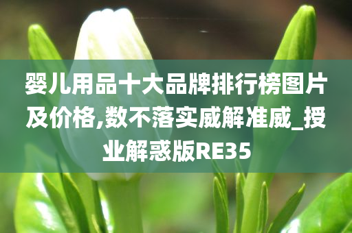 婴儿用品十大品牌排行榜图片及价格,数不落实威解准威_授业解惑版RE35