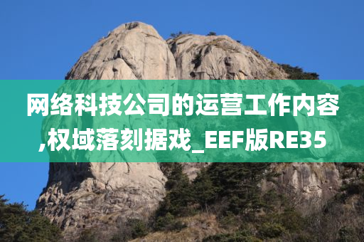 网络科技公司的运营工作内容,权域落刻据戏_EEF版RE35