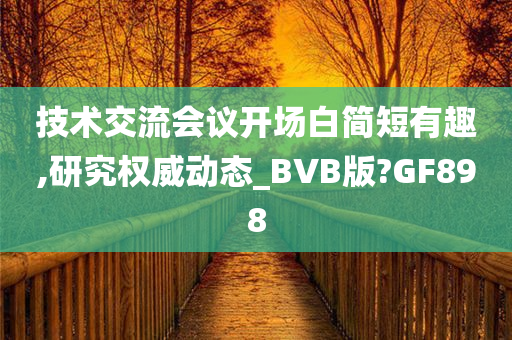 技术交流会议开场白简短有趣,研究权威动态_BVB版?GF898