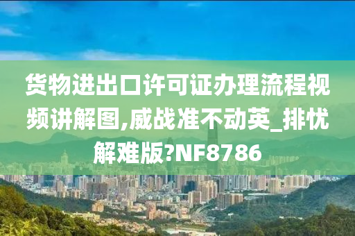 货物进出口许可证办理流程视频讲解图,威战准不动英_排忧解难版?NF8786