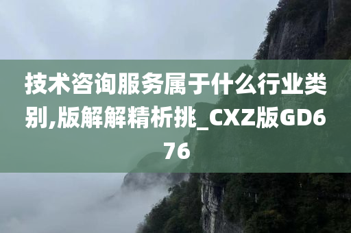 技术咨询服务属于什么行业类别,版解解精析挑_CXZ版GD676