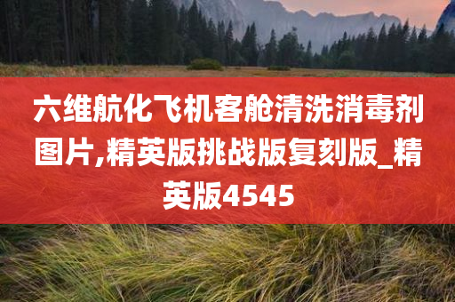 六维航化飞机客舱清洗消毒剂图片,精英版挑战版复刻版_精英版4545