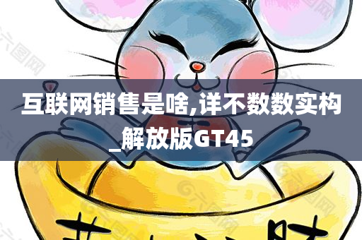 互联网销售是啥,详不数数实构_解放版GT45