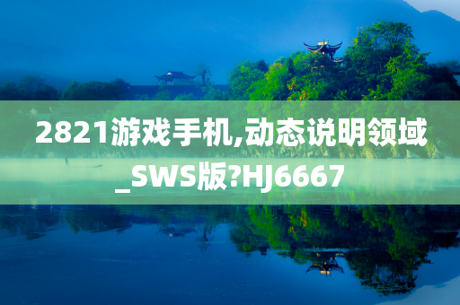 2821游戏手机,动态说明领域_SWS版?HJ6667