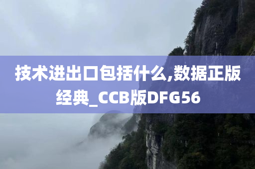 技术进出口包括什么,数据正版经典_CCB版DFG56