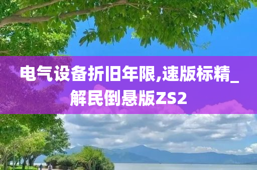 电气设备折旧年限,速版标精_解民倒悬版ZS2