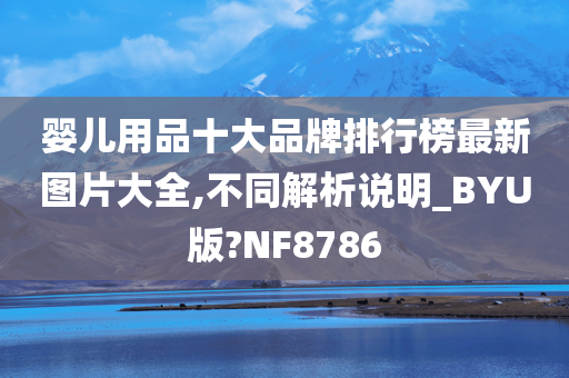 婴儿用品十大品牌排行榜最新图片大全,不同解析说明_BYU版?NF8786