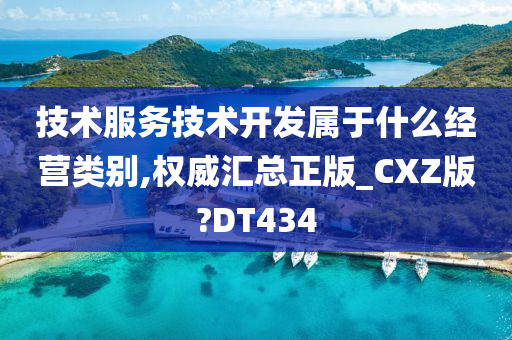 技术服务技术开发属于什么经营类别,权威汇总正版_CXZ版?DT434