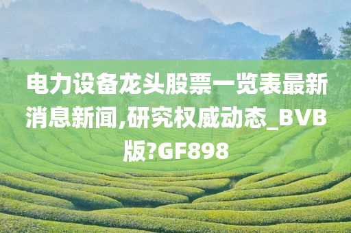 电力设备龙头股票一览表最新消息新闻,研究权威动态_BVB版?GF898