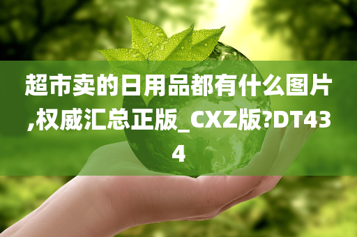 超市卖的日用品都有什么图片,权威汇总正版_CXZ版?DT434