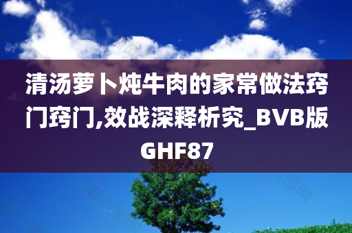 清汤萝卜炖牛肉的家常做法窍门窍门,效战深释析究_BVB版GHF87