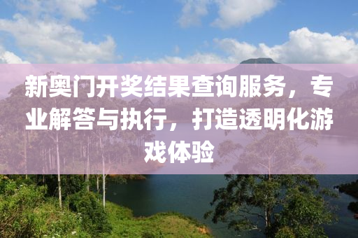 新奥门开奖结果查询服务，专业解答与执行，打造透明化游戏体验