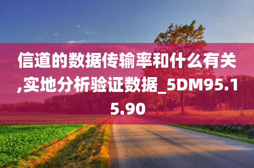 信道的数据传输率和什么有关,实地分析验证数据_5DM95.15.90