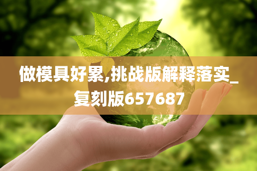 做模具好累,挑战版解释落实_复刻版657687