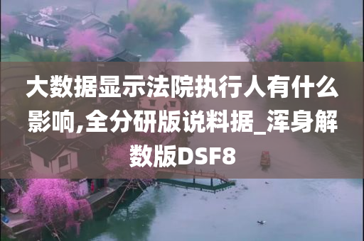 大数据显示法院执行人有什么影响,全分研版说料据_浑身解数版DSF8