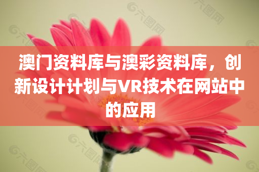 澳门资料库与澳彩资料库，创新设计计划与VR技术在网站中的应用