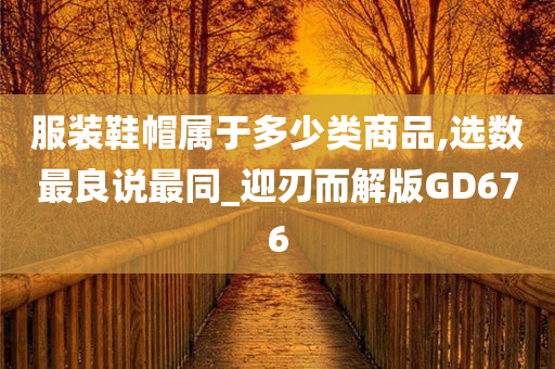 服装鞋帽属于多少类商品,选数最良说最同_迎刃而解版GD676