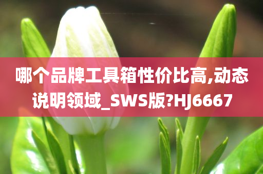 哪个品牌工具箱性价比高,动态说明领域_SWS版?HJ6667