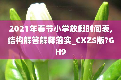 2021年春节小学放假时间表,结构解答解释落实_CXZS版?GH9