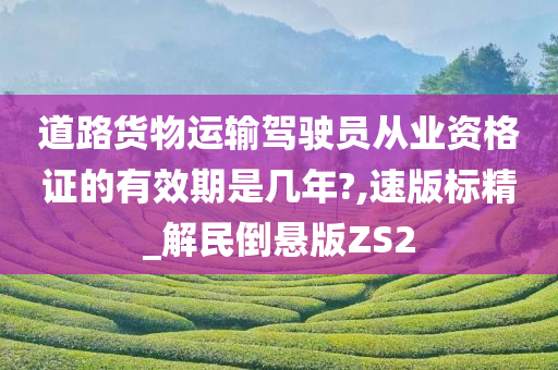 道路货物运输驾驶员从业资格证的有效期是几年?,速版标精_解民倒悬版ZS2