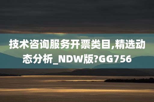 技术咨询服务开票类目,精选动态分析_NDW版?GG756