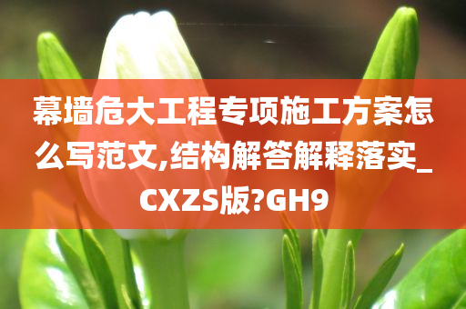 幕墙危大工程专项施工方案怎么写范文,结构解答解释落实_CXZS版?GH9