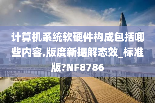 计算机系统软硬件构成包括哪些内容,版度新据解态效_标准版?NF8786